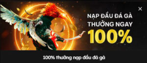 Nạp Đầu Đá Gà, Thưởng Ngày 100%